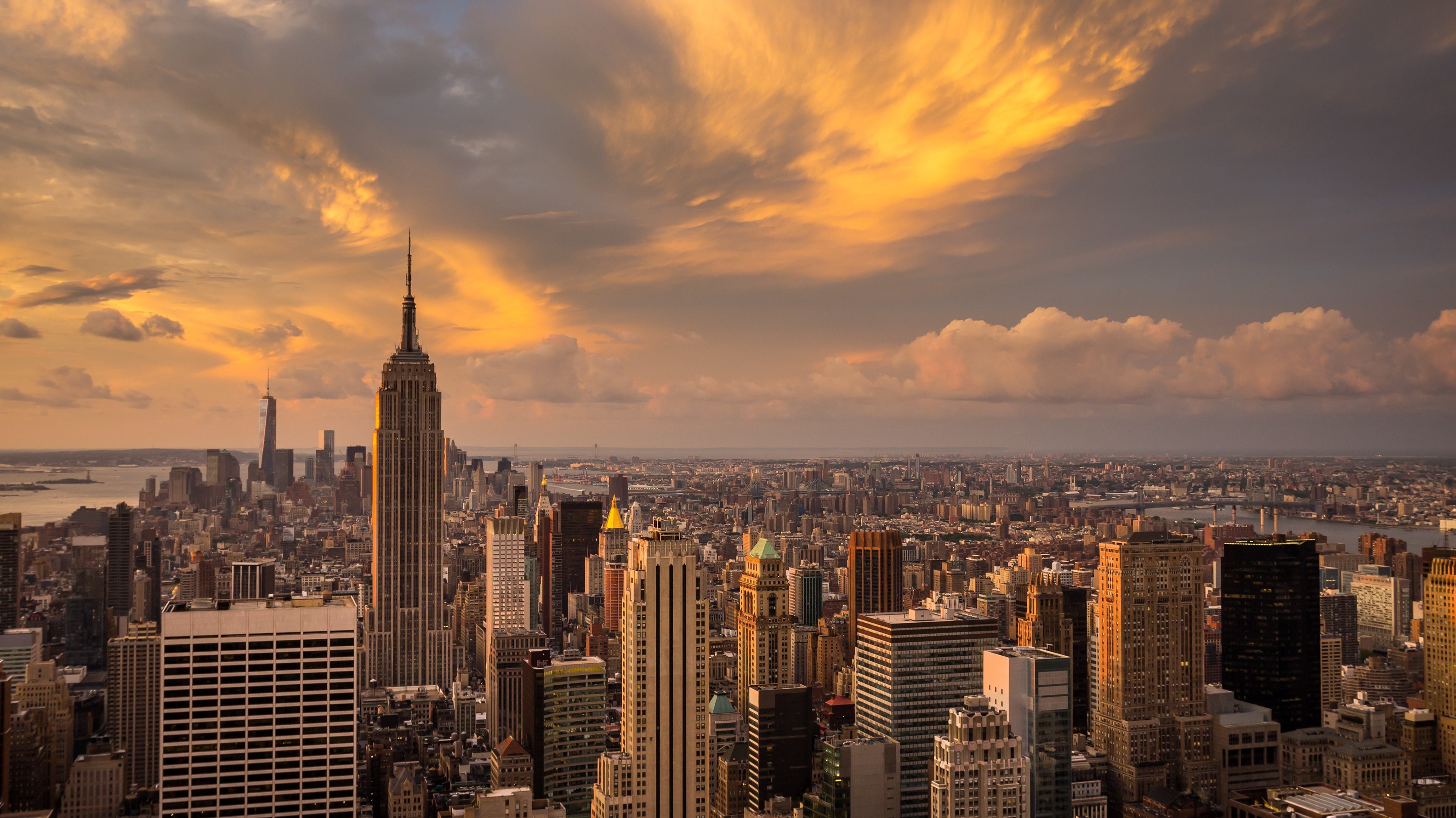 Maneuvering New Beginnings.