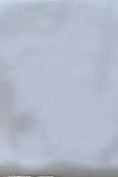 Princess Bride Mermaid Wedding Dress White Trailing Perspective Backless Lace