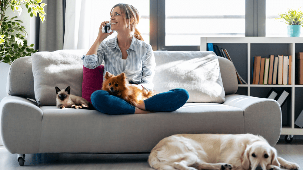 The Stressful Reality of Apartment Hunting: A Journey Through Anxiety, Pet Concerns, and Financial Stress