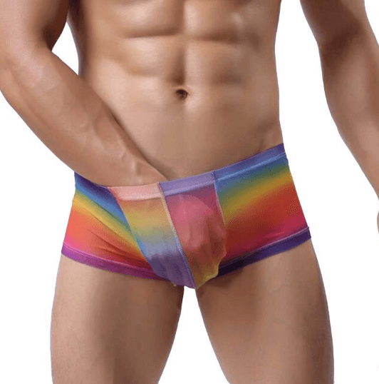 Men's sexy underwear, transparent printed mesh pants, breathable, sexy transparent underwear - Bloomjay
