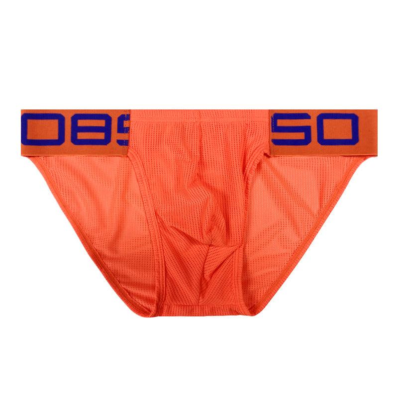 Men's Triangle Underwear Nylon Mesh - Bloomjay