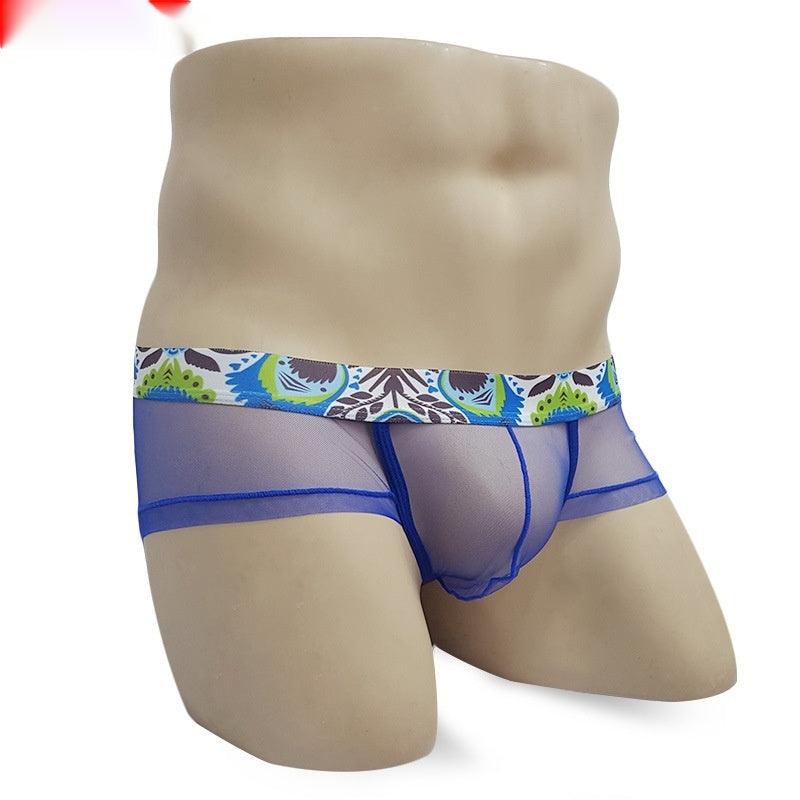 Men's Mesh Lightweight See-through Underwear Low Waist Transparent Sexy Briefs - Bloomjay