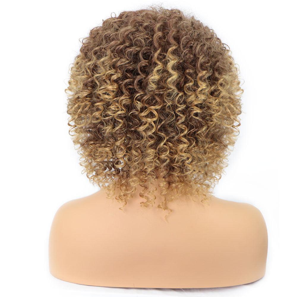 Cross-Border Wigs: Euro-American, Small Curly Ladies Wigs, African Style. Headgear with Explosive Fashion.