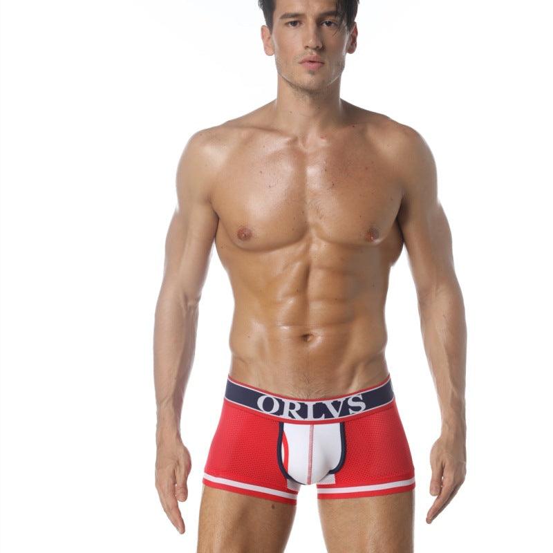 Experience the ultimate in comfort and breathability with our Popular Mesh Underwear for men.