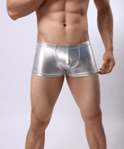 ndulge in luxury with our men's sexy golden/silver underwear collection.