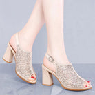 Mesh High-heeled Sandals Women"s Spring And Summer New Pointed Single Shoes