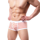 New fashion: Striped men's underwear crafted from purified cotton, blending style with comfort.