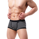 New fashion: Striped men's underwear crafted from purified cotton, blending style with comfort.