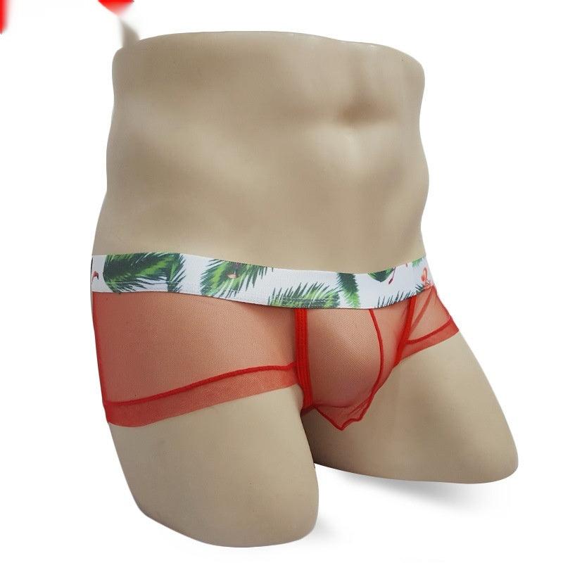 Men's Mesh Lightweight See-through Underwear Low Waist Transparent Sexy Briefs - Bloomjay